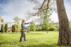 Best Lot and Land Clearing  in Maunawili, HI